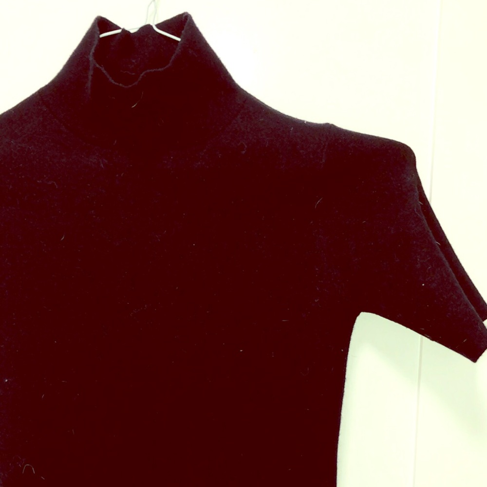 Zara Turtleneck Knit Short Sleeve
